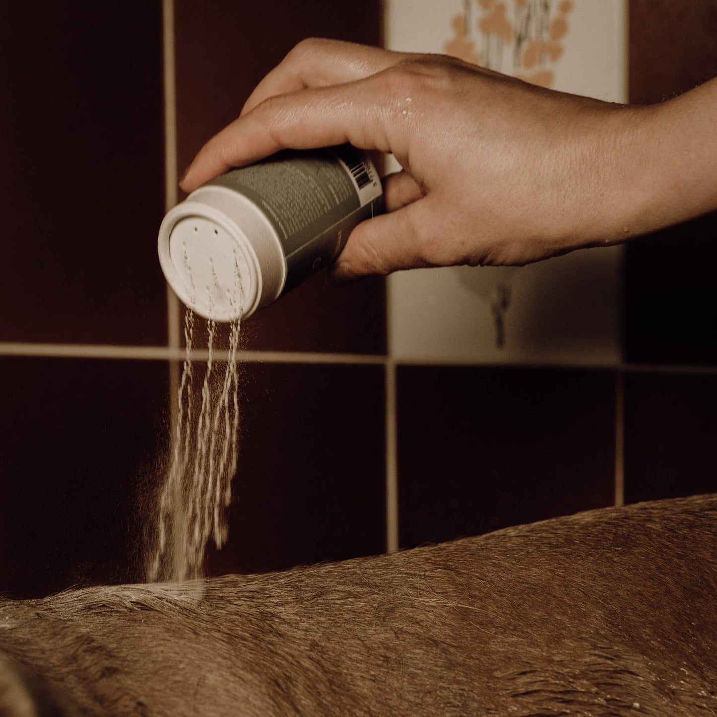pour le lavage de votre chien