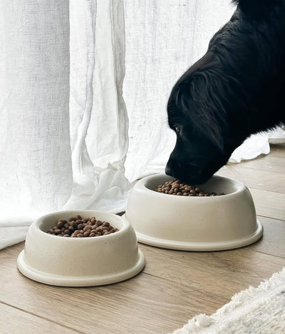 pour vos boites ou croquettes pour chien