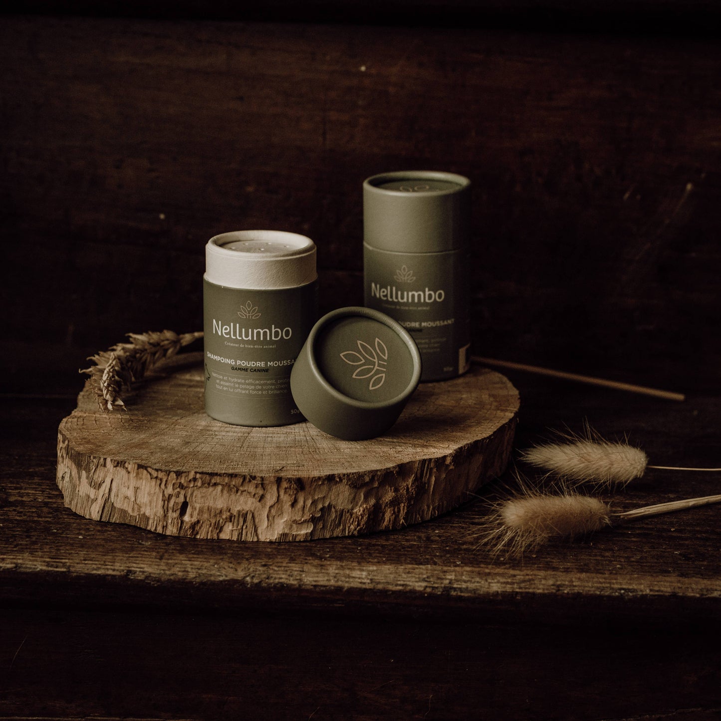 Laver votre chien avec un shampoing naturel