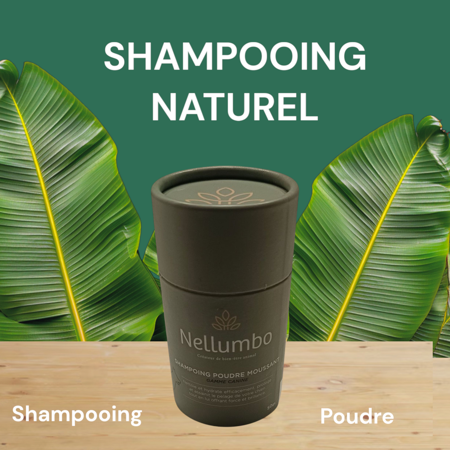 Shampoing en poudre pour chien