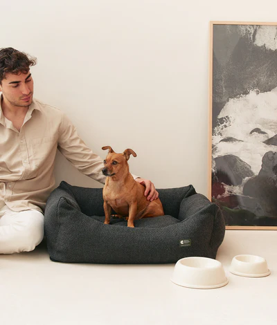 le bol de nouritture de mon chien