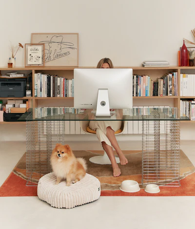 bol design pour animal