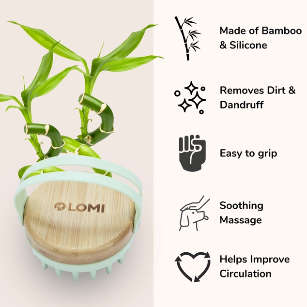 composition de la brosse pour chien en bambou