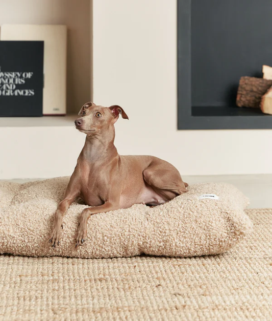 coussin pour chien effet bouclette